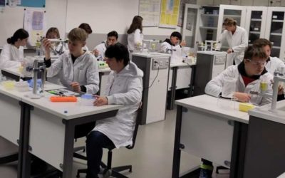 Labortag in der HLS 2022